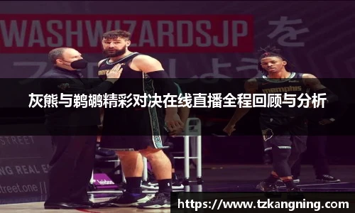 灰熊与鹈鹕精彩对决在线直播全程回顾与分析